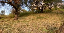 Chácara 1000m2 Azurita